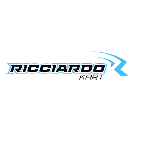 Ricciardo Kart Sticker Kits – Custom & Factory Replica