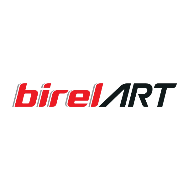 Birel Kart Sticker Kits – Custom & Factory Replica
